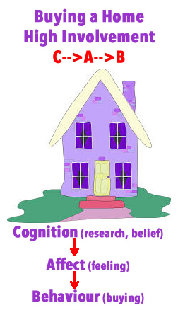 House Buying -Cognition->Belief.Behaviour